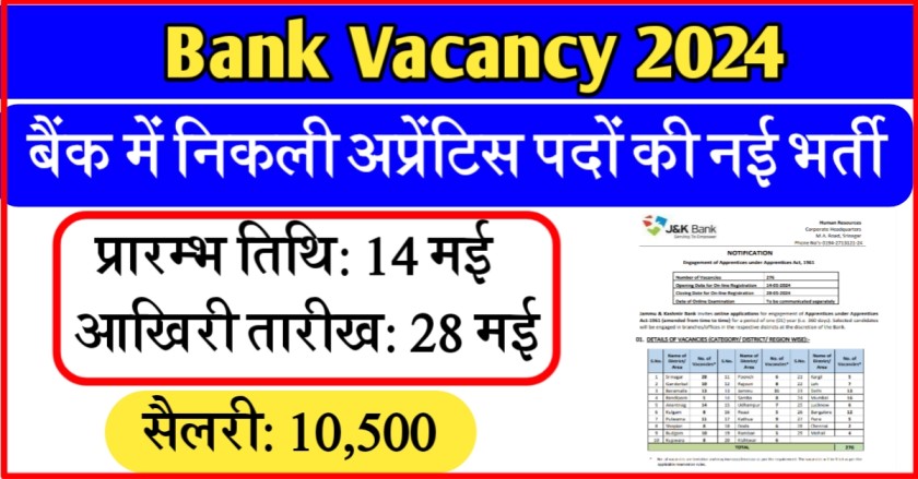 Bank Vacancy 2024
